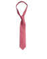 Hermes Birds Print Tie, front view